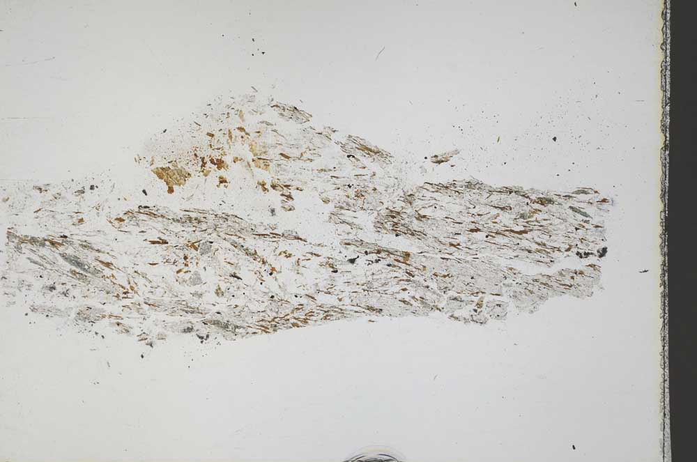 Plane Polarized, S44502