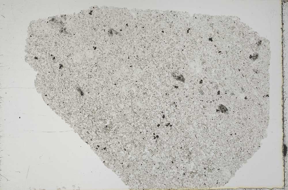 Plane Polarized, S44503