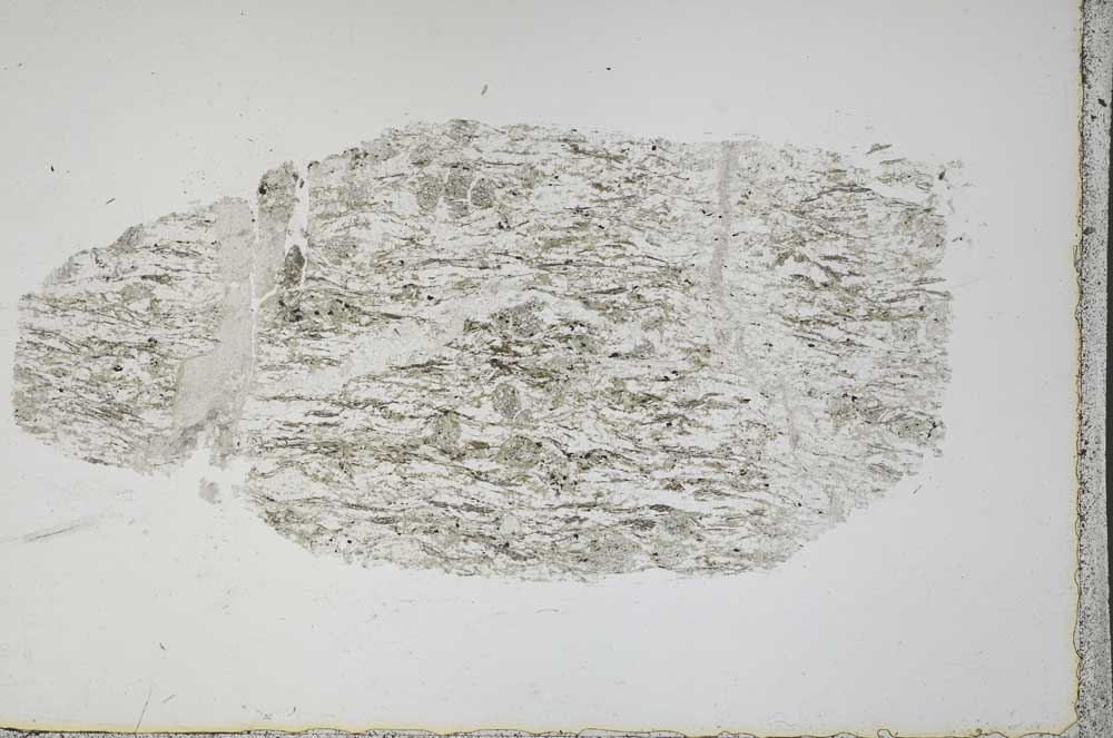 Plane Polarized, S44504