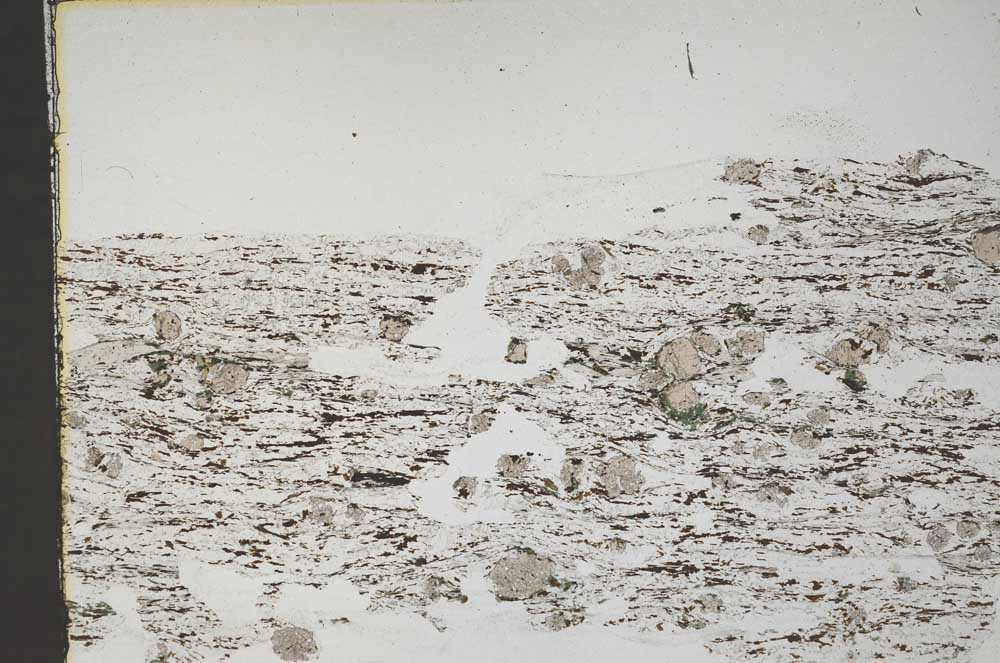 Plane Polarized, S44505