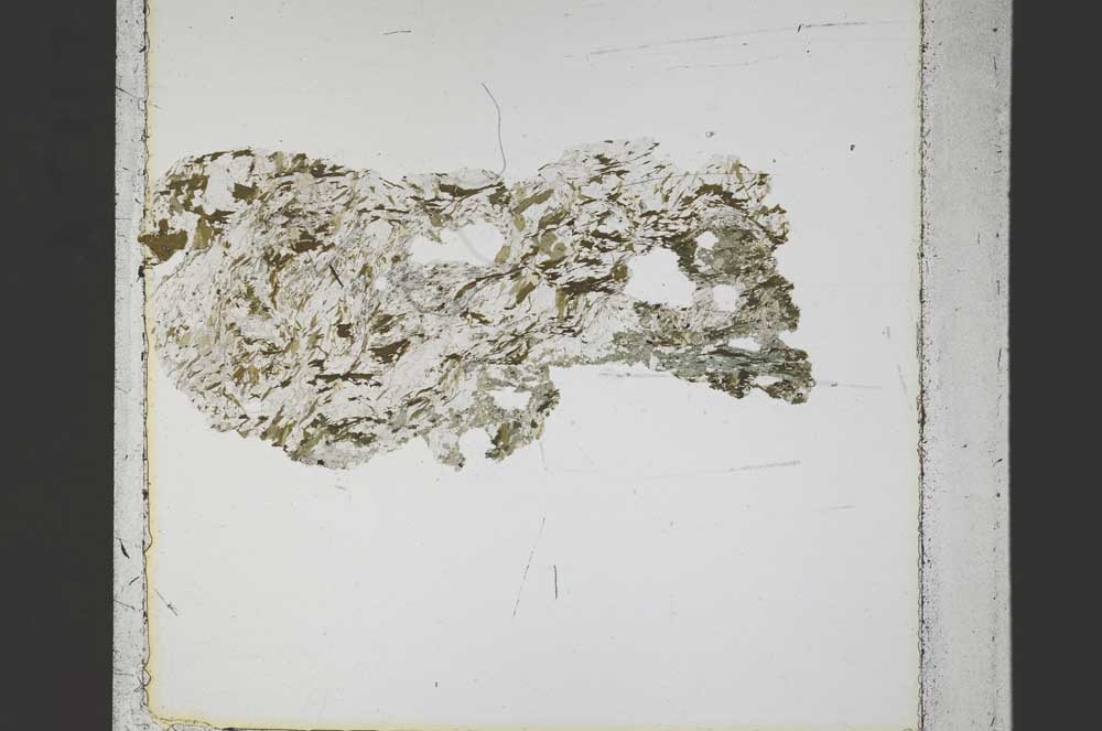 Plane Polarized, S44508