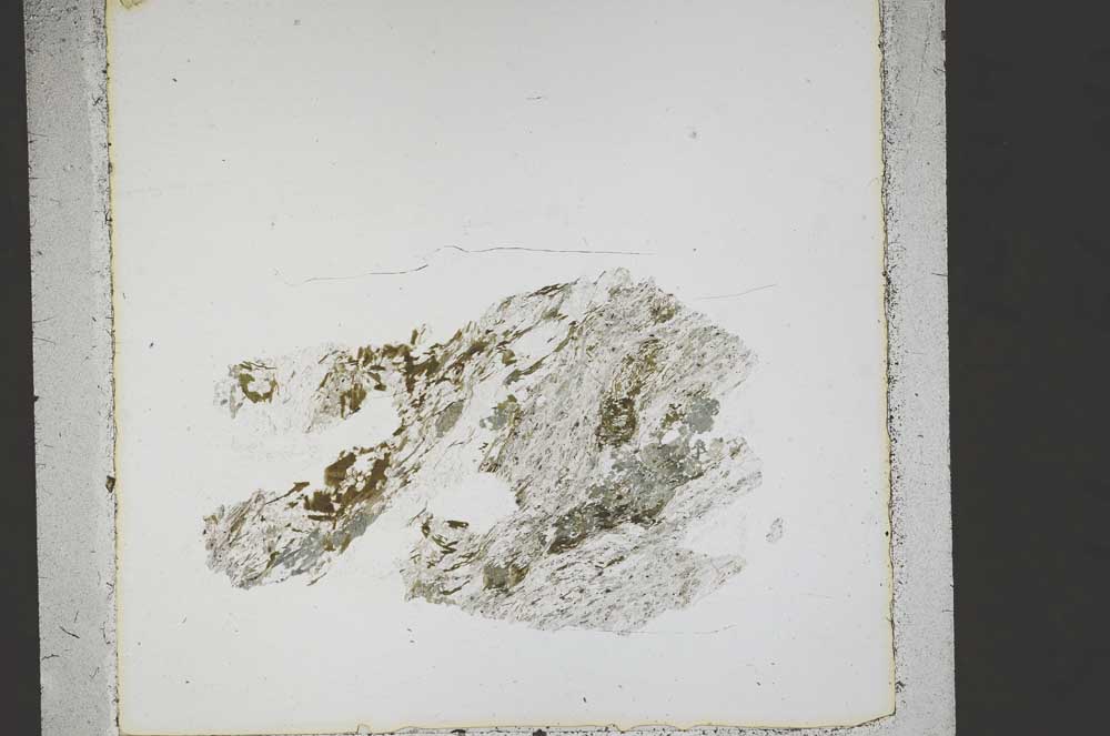 Plane Polarized, S44509