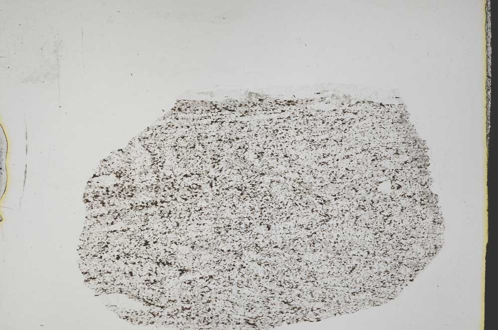 Plane Polarized, S44511