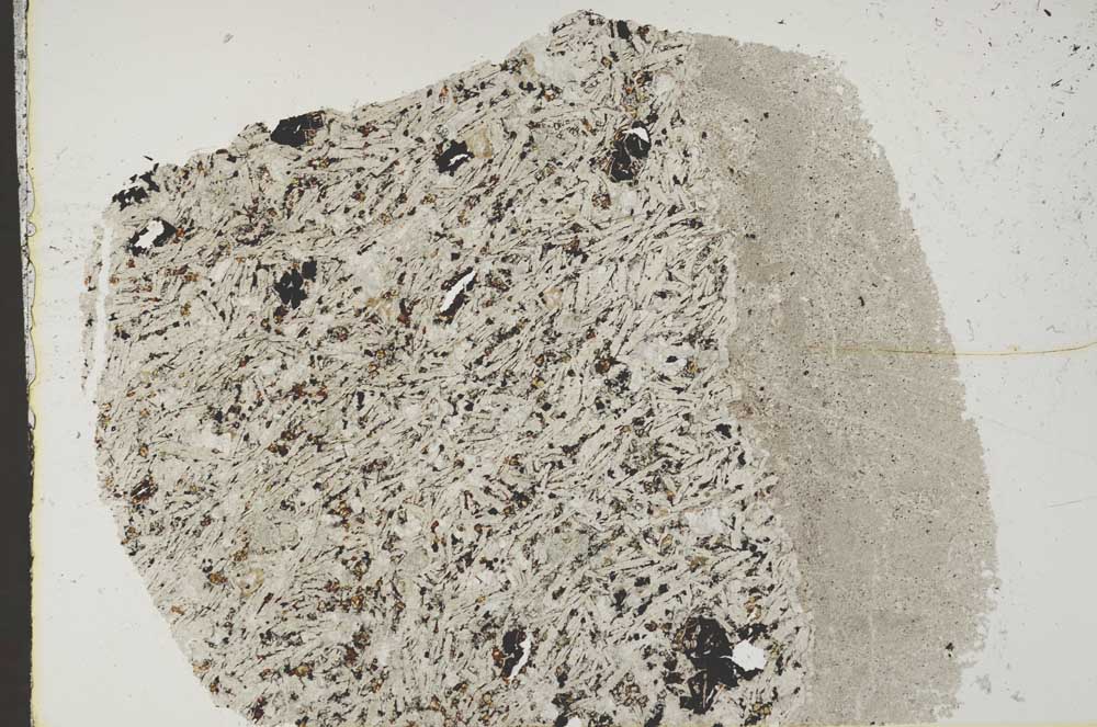 Plane Polarized, S44527