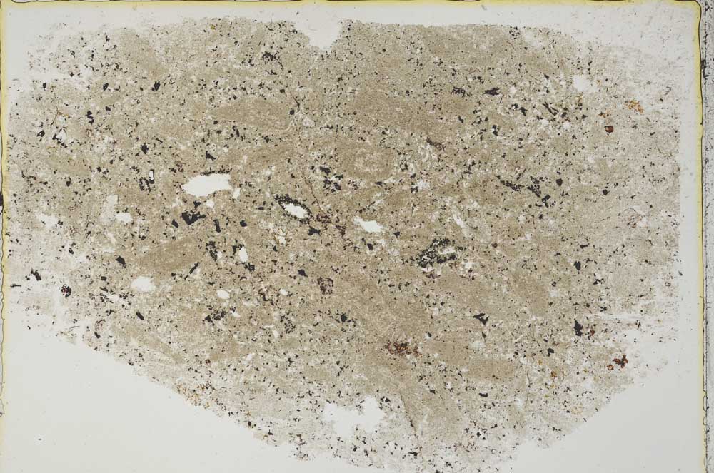 Plane Polarized, S44529