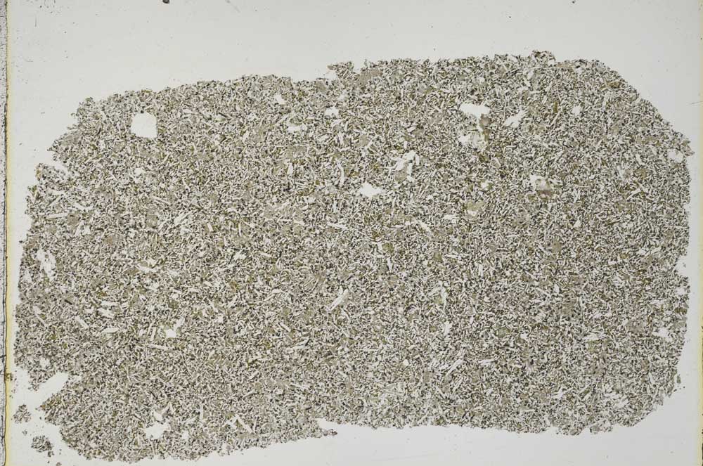 Plane Polarized, S44545
