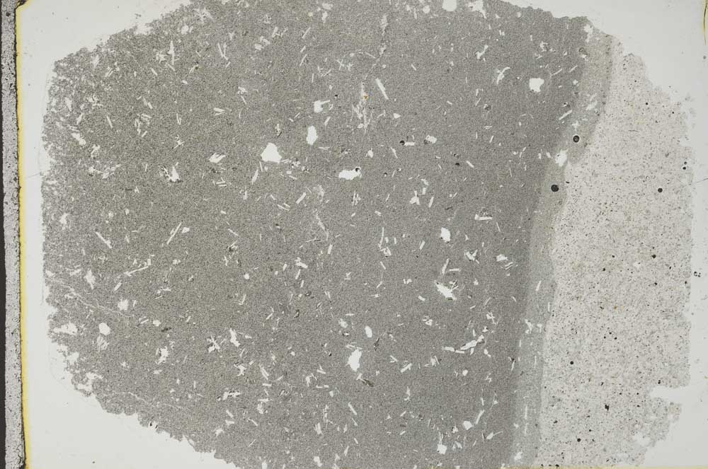 Plane Polarized, S44548