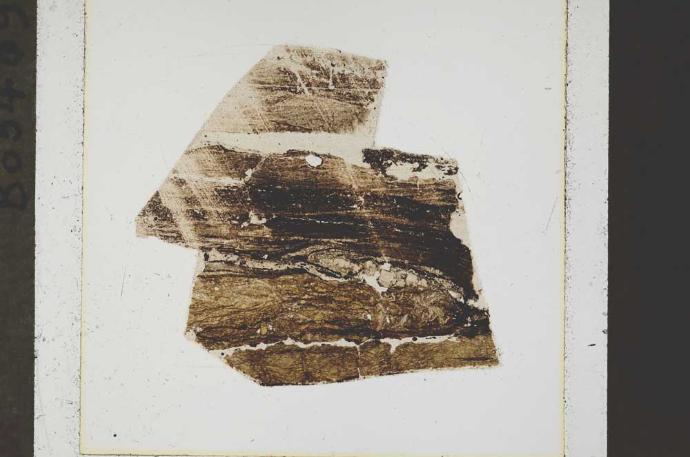 Plane Polarized, S44561