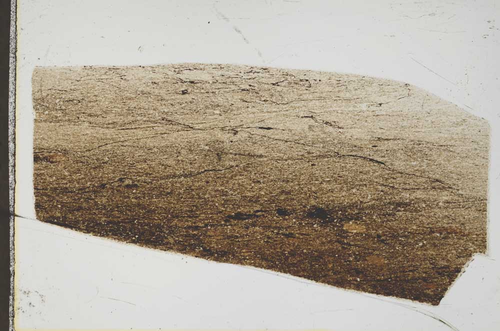 Plane Polarized, S44564