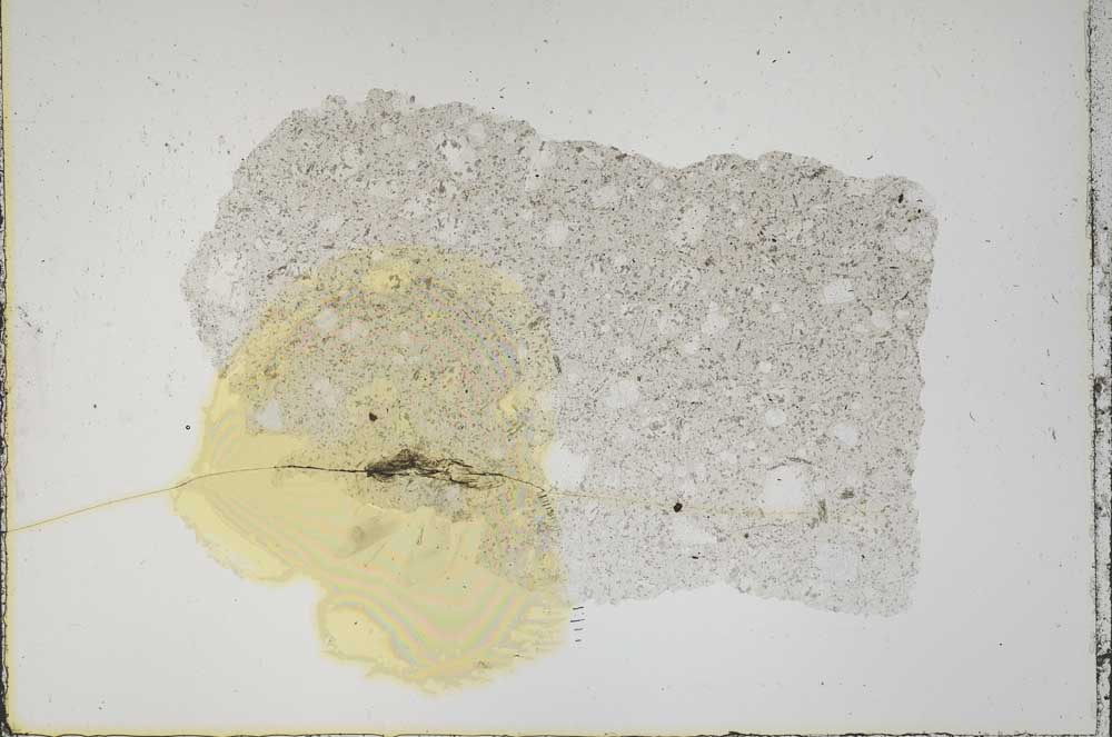 Plane Polarized, S44565