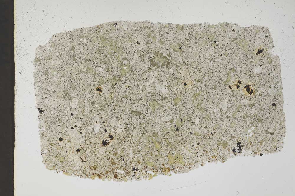 Plane Polarized, S44568