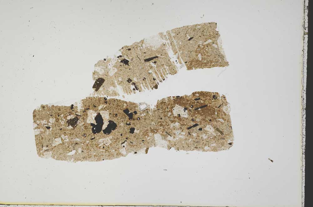 Plane Polarized, S44573