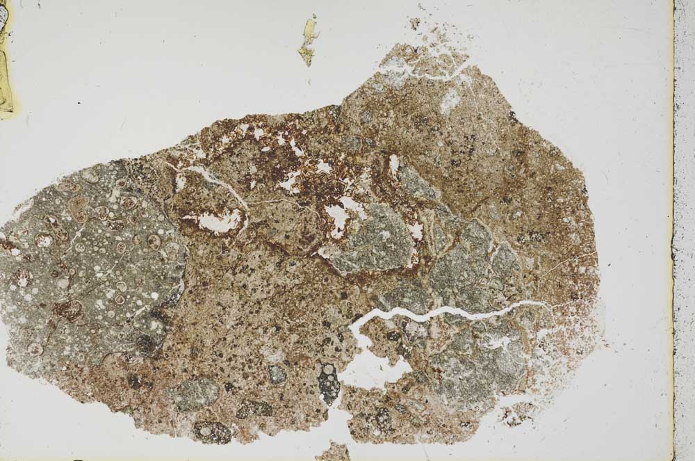 Plane Polarized, S44593