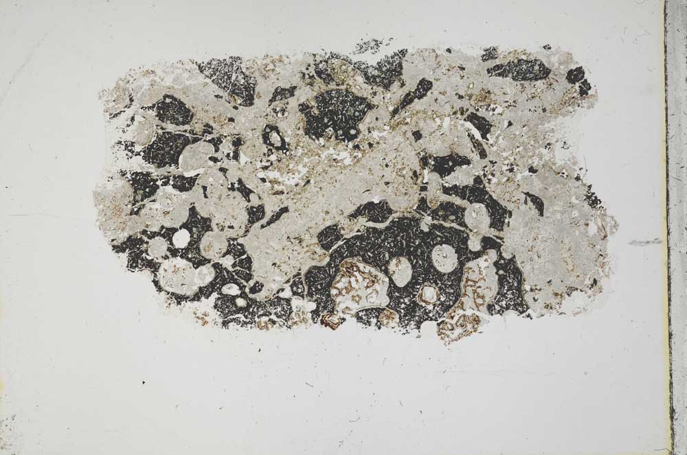 Plane Polarized, S44600