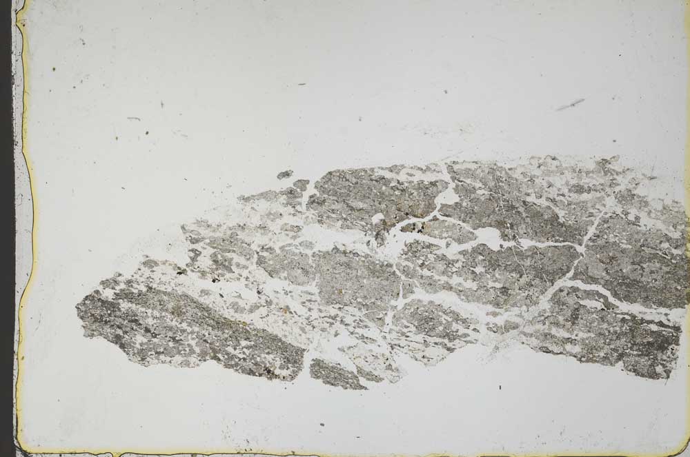Plane Polarized, S44612
