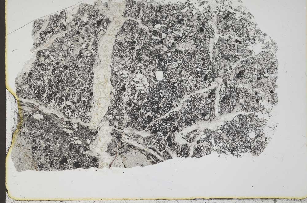 Plane Polarized, S44633