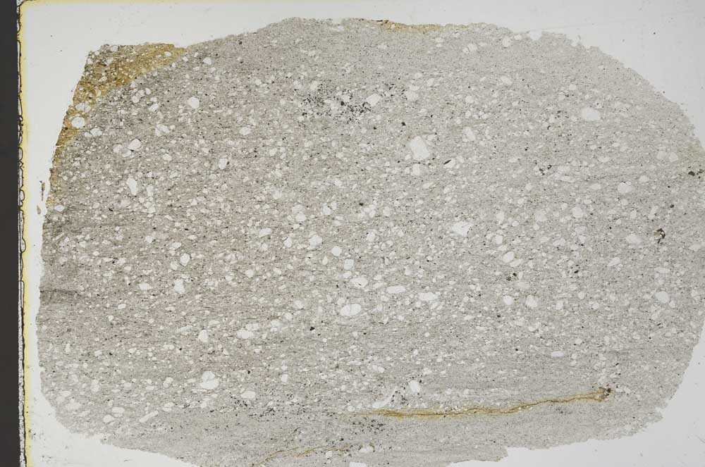 Plane Polarized, S44637