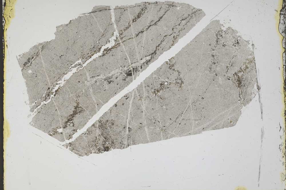 Plane Polarized, S44639