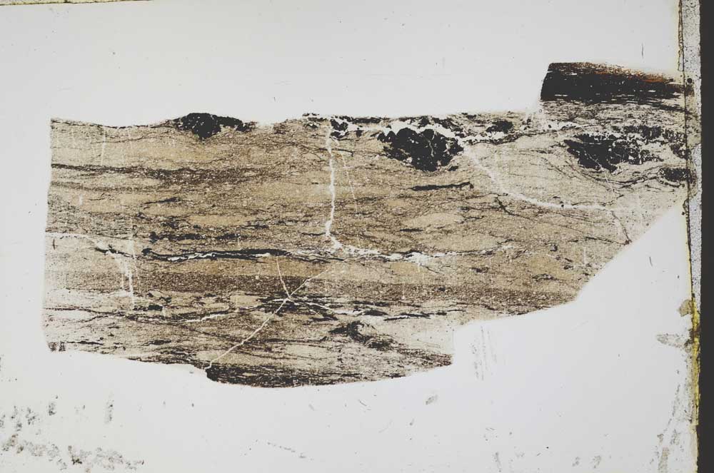 Plane Polarized, S44660