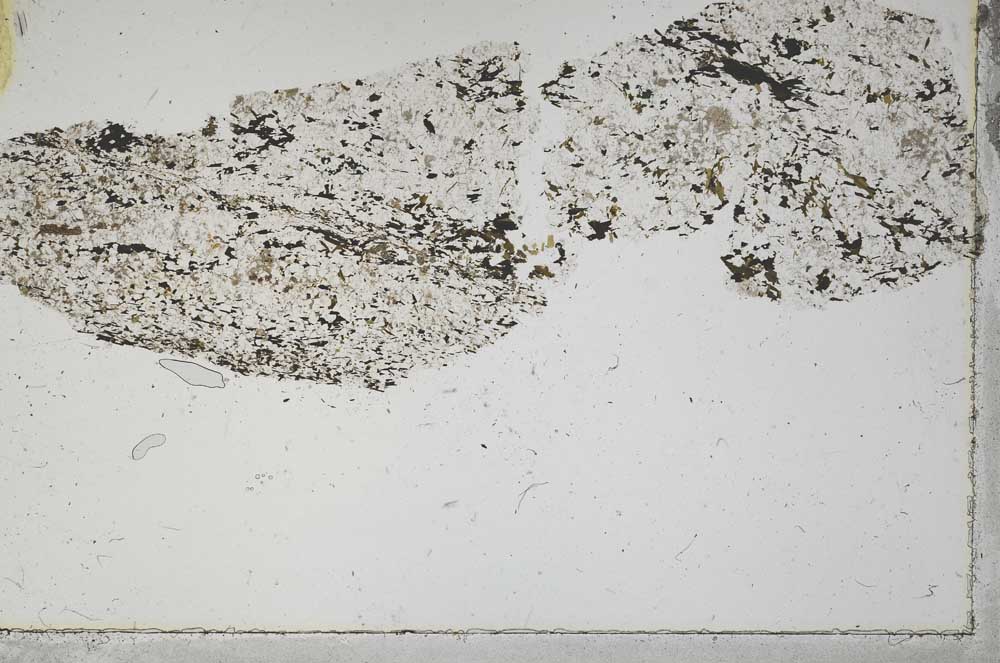 Plane Polarized, S44669