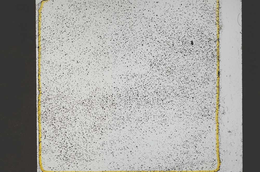Plane Polarized, S44678/B