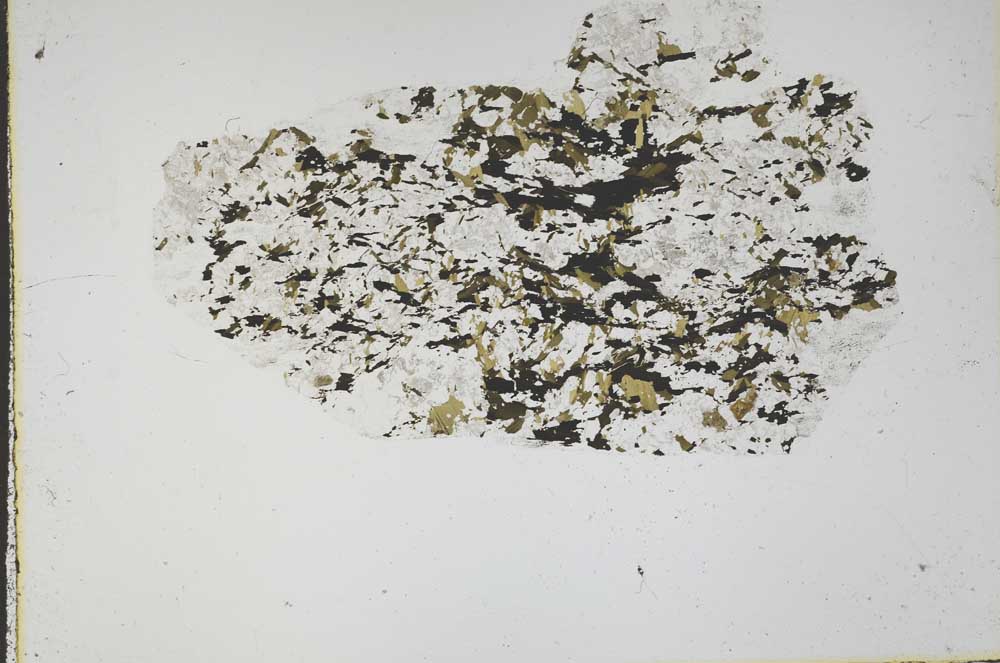 Plane Polarized, S44688