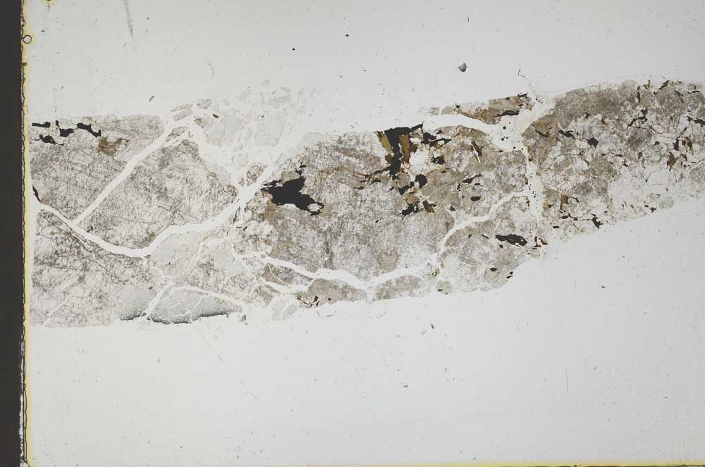 Plane Polarized, S44690
