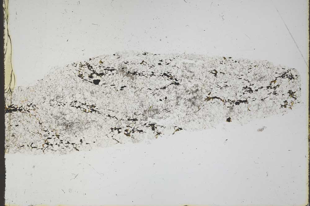 Plane Polarized, S44692