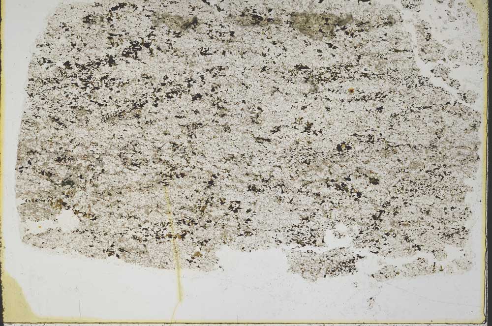Plane Polarized, S44695