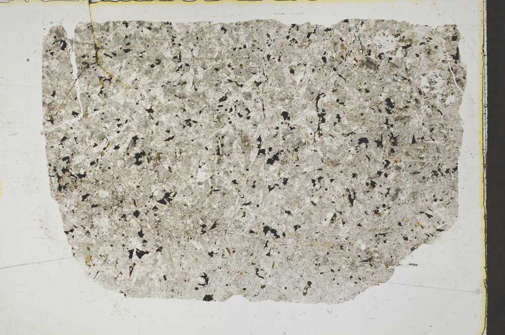 Plane Polarized, S44811