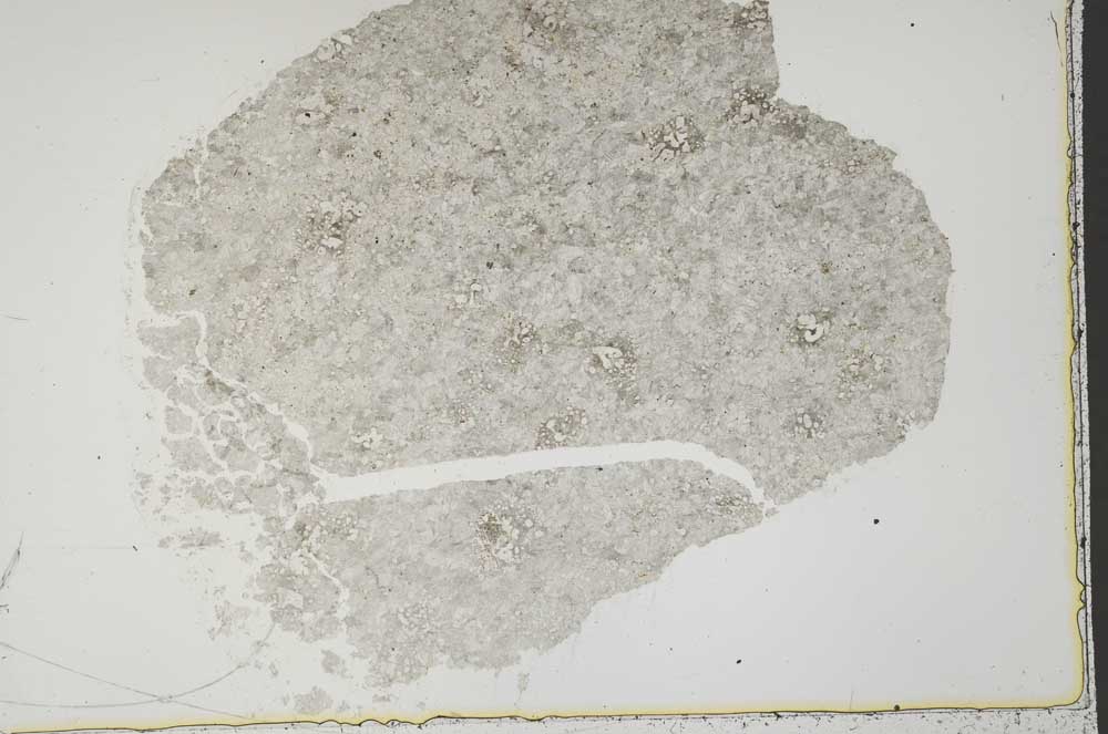 Plane Polarized, S44815
