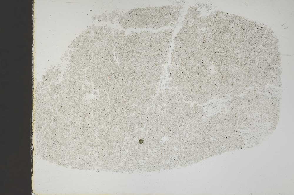 Plane Polarized, S44818