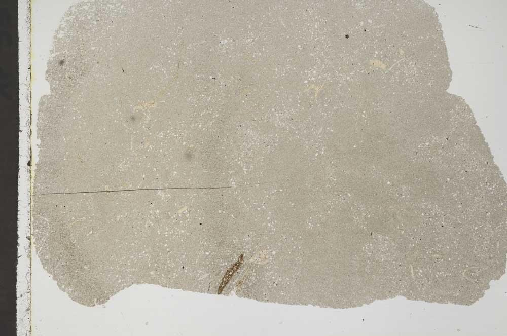 Plane Polarized, S44819