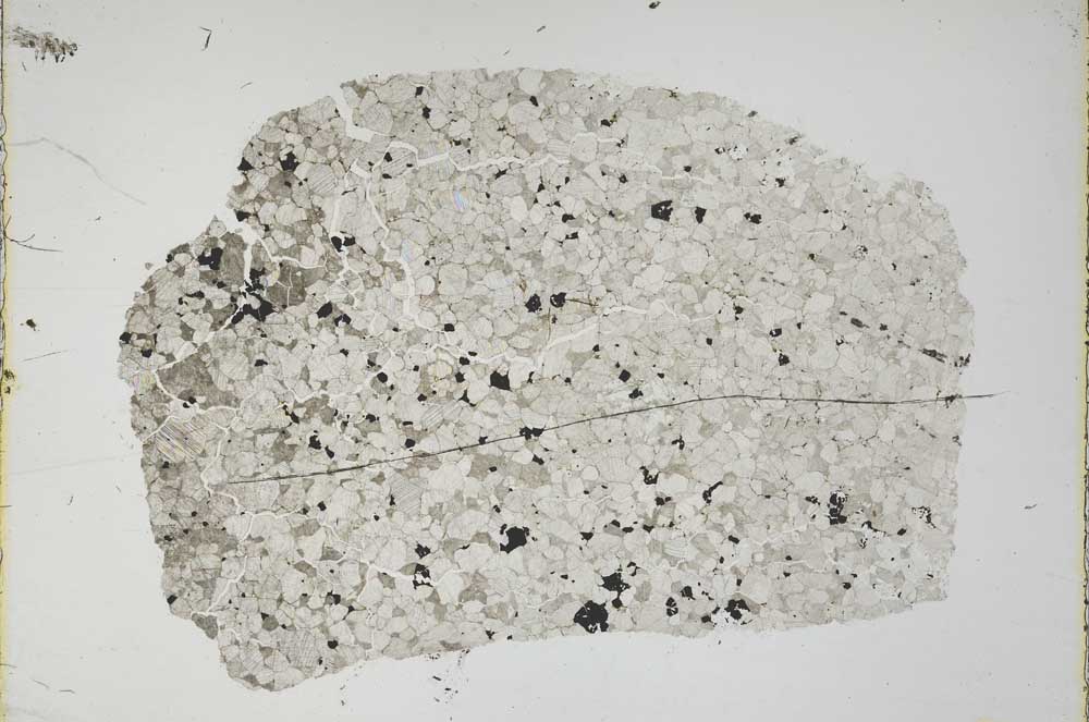 Plane Polarized, S44924