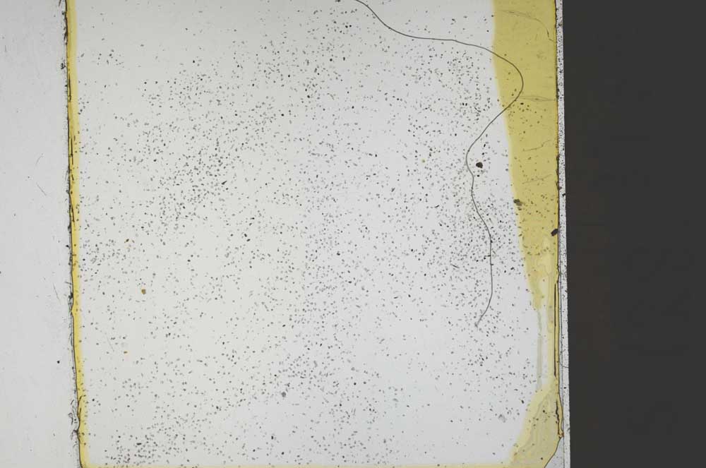 Plane Polarized, S44928