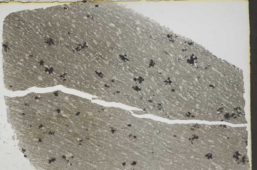 Plane Polarized, S44938