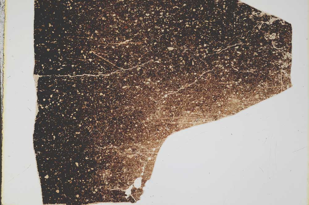 Plane Polarized, S44967