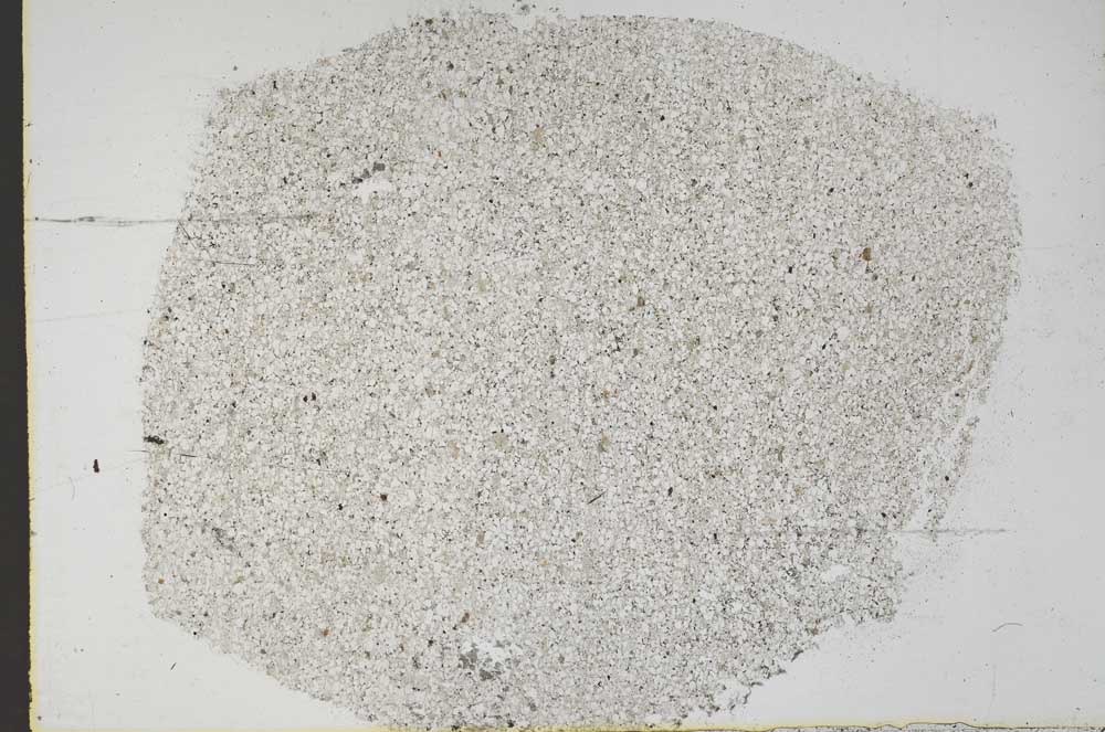 Plane Polarized, S44970