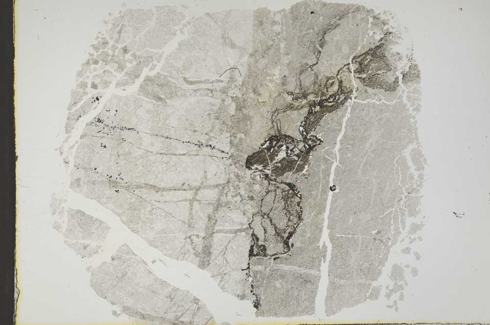 Plane Polarized, S45098