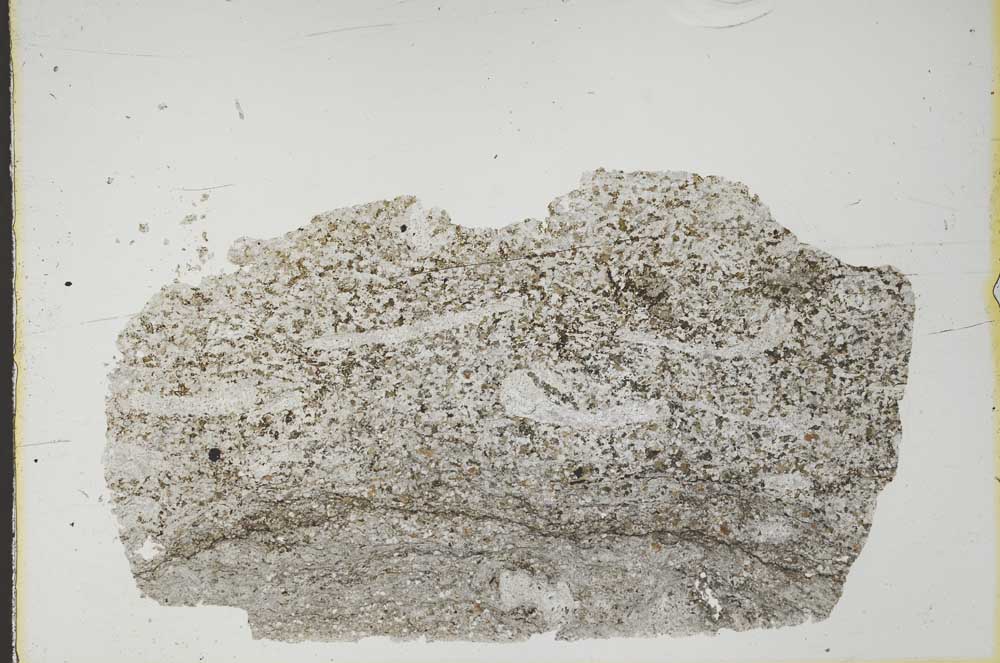 Plane Polarized, S45099