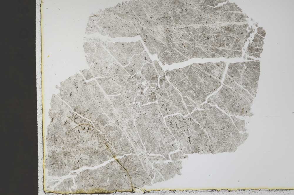 Plane Polarized, S45144