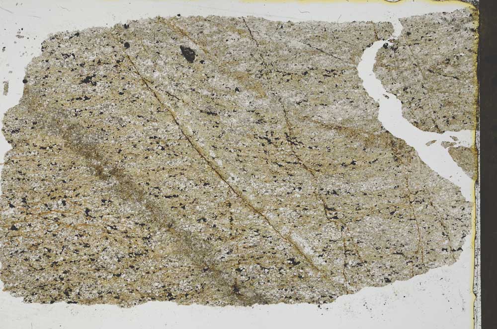 Plane Polarized, S45170