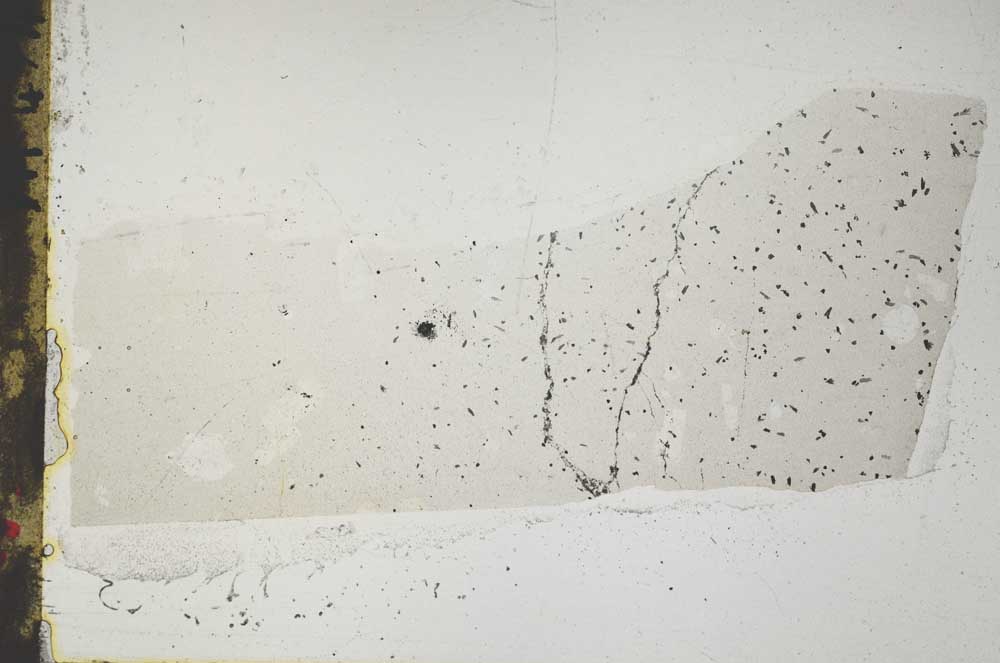 Plane Polarized, S45222