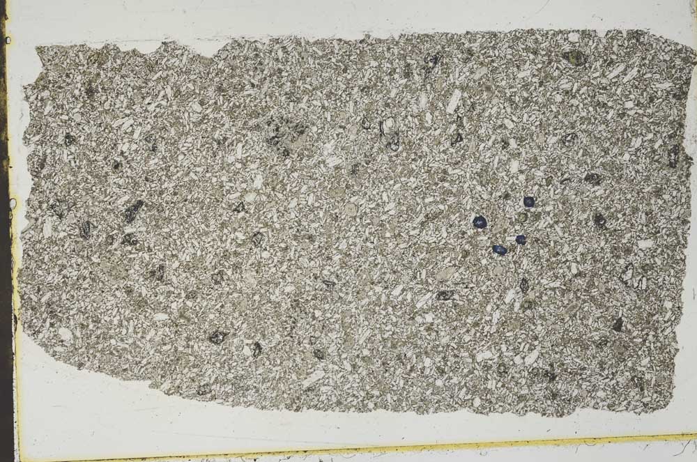 Plane Polarized, S45225