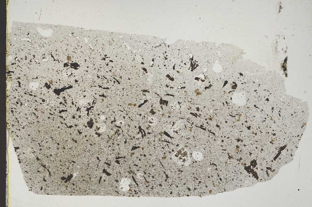 Plane Polarized, S45226