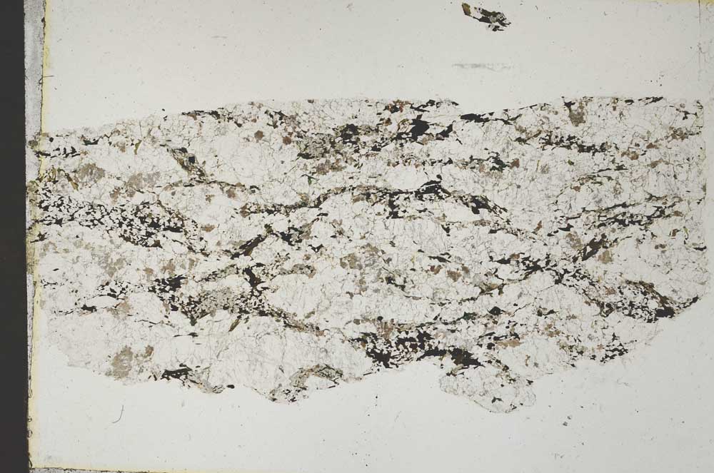 Plane Polarized, S45399