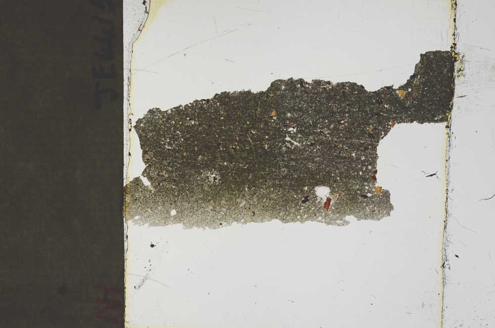 Plane Polarized, S45448
