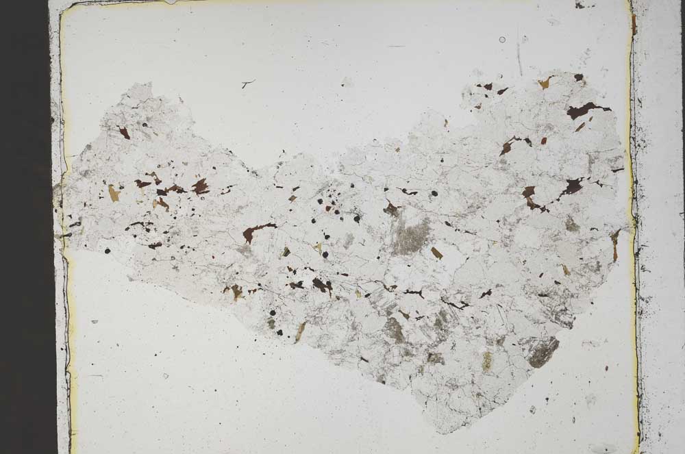 Plane Polarized, S45503