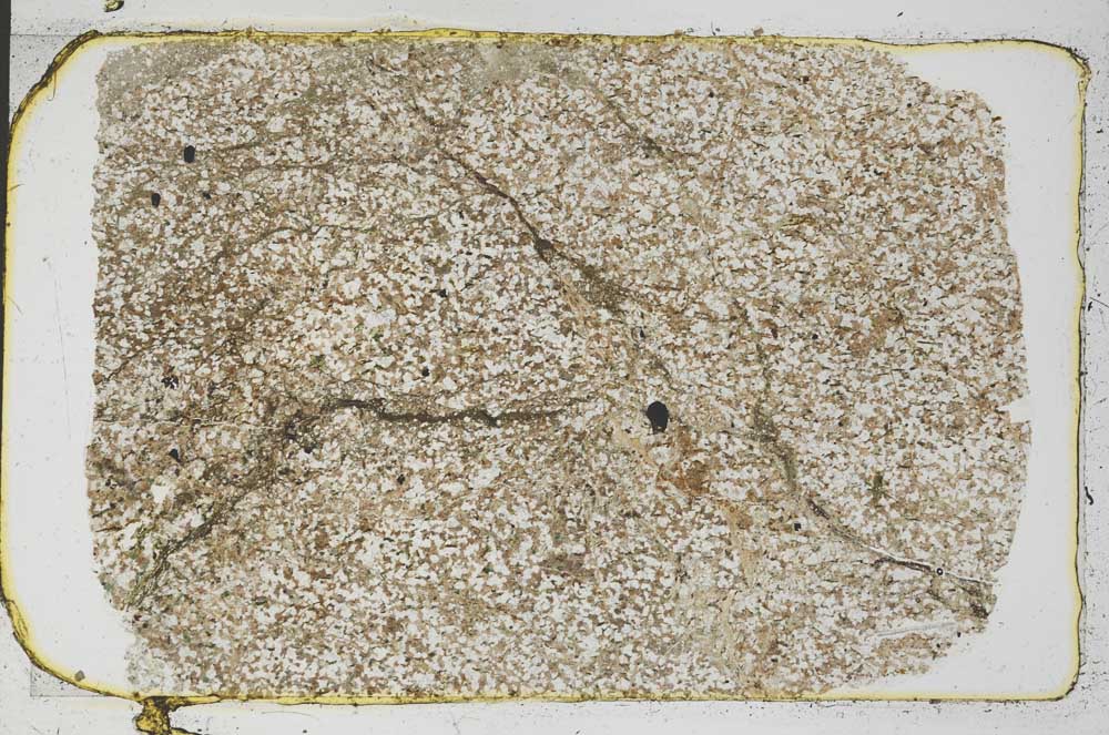 Plane Polarized, S45506