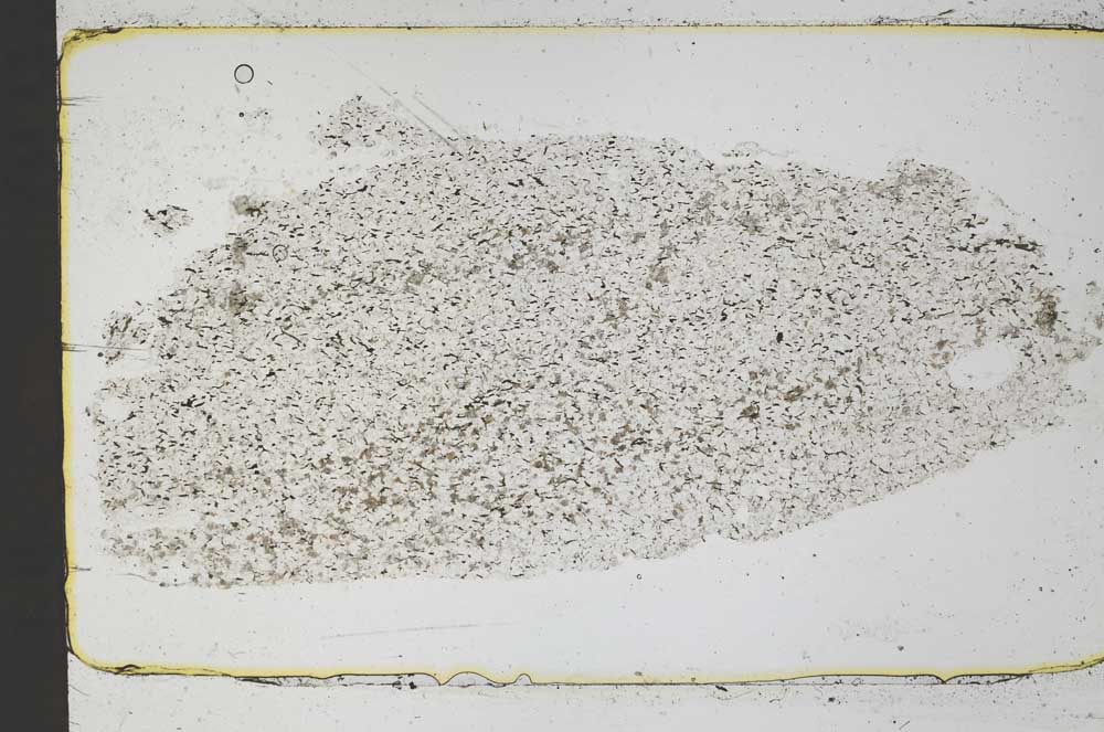 Plane Polarized, S45507